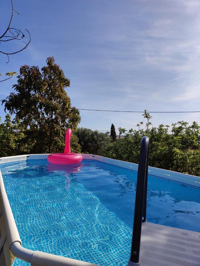 Casa Amarela-Tiny House With Fantastic View-Pool And Close To The Beaches Silves Dış mekan fotoğraf